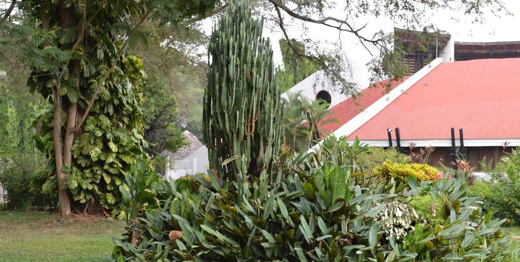 Morogoro Hotel Eksteriør billede